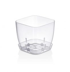 Açelya Saksı Şeffaf No:2