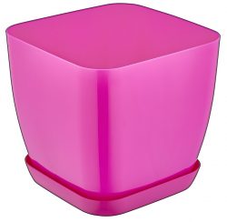 Açelya Saksı Lüks No:2